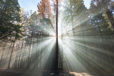 Yosemite Valley, CA